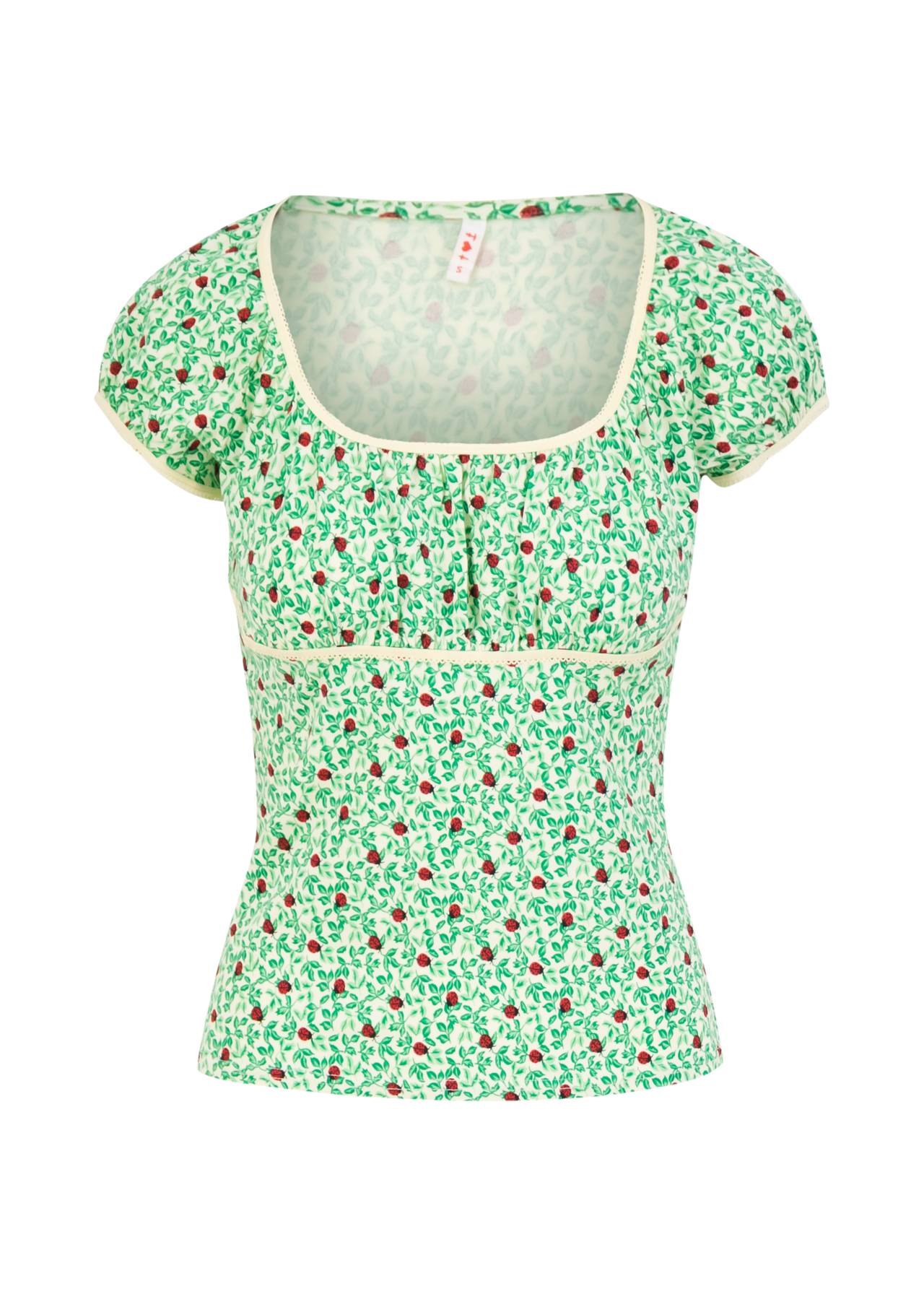 Blutsgeschwister Shirt "Blumento Ferte" grün/Marienkäfer